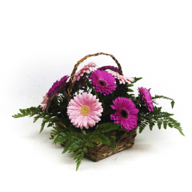 Cesta de gerberas Cesta de gerberas