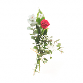 Rosa roja con eucalipto y paniculata Rosa roja con eucalipto y paniculata