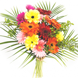 Ramo de gerberas Ramo de gerberas