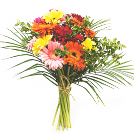 Ramo de gerberas variadas Ramo de gerberas variadas