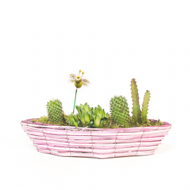 Cesta de cactus Cesta de cactus