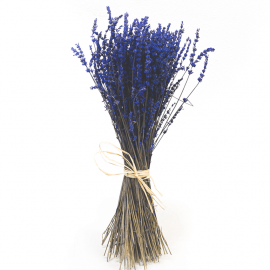 Lavanda preservada Lavanda preservada