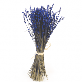 Lavanda preservada Lavanda preservada