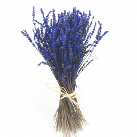 Lavanda preservada Lavanda preservada