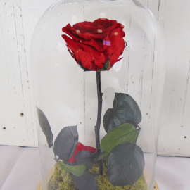 Rosa encantada - La Bella y la Bestia Rosa encantada - La Bella y la Bestia