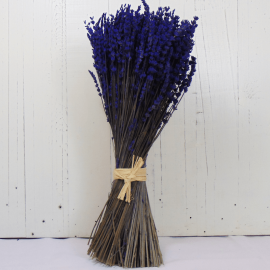 Lavanda liofilizada Lavanda liofilizada