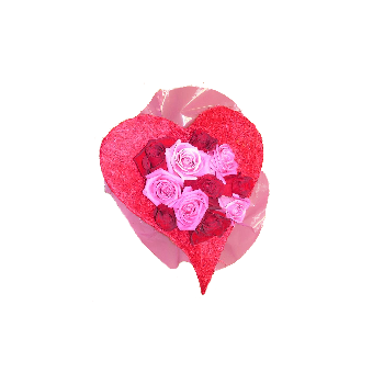 Corazón te amo Corazón te amo